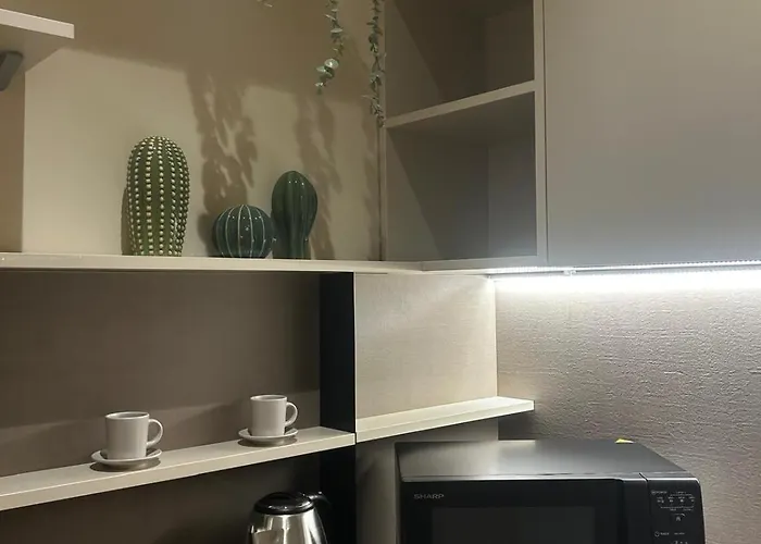 Shabby 4* טרני